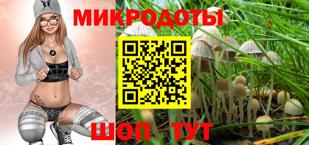 Галлюциногенные грибы GOLDEN TEACHER Тобольск